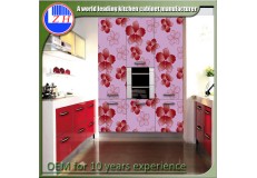 High gloss acrylic kitchen cabinets - DM9620