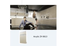 Modern acrylic laminate kitchen cabinet simple designs ZH8613